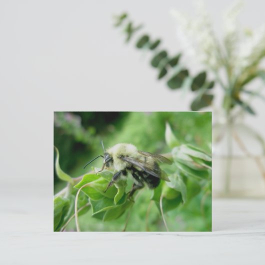 のまわりにはがき ポストカード (スタンド正面)