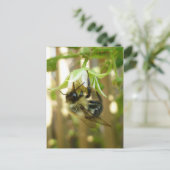 のまわりにはがき ポストカード (スタンド正面)