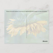 のまわりにオンひまわり – はがき (裏面)