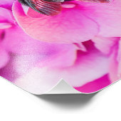 のまわりにオンアジサイ フォトプリント            (角)