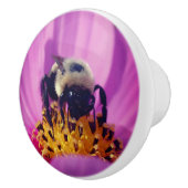 のまわりにオンコスモスフラワー   セラミックノブ (右)