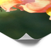 のまわりにオンスナップドラゴンフラワー自然 ポスター (角)