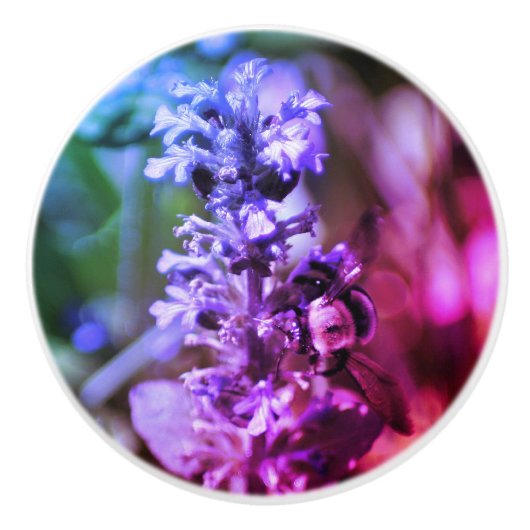 のまわりにオンパープルフラワー抽象芸術カラー セラミックノブ (正面)