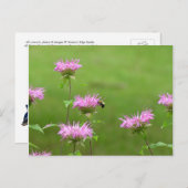 のまわりにオンビーバームフラワーポストカード ポストカード (正面/裏面)