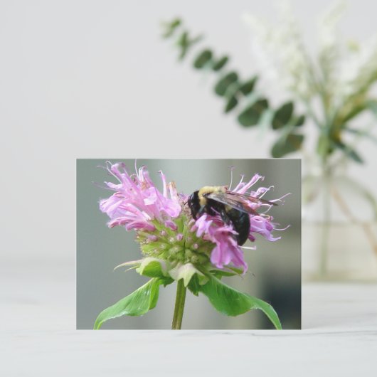 のまわりにオンビーバーム花はがき2 ポストカード (スタンド正面)