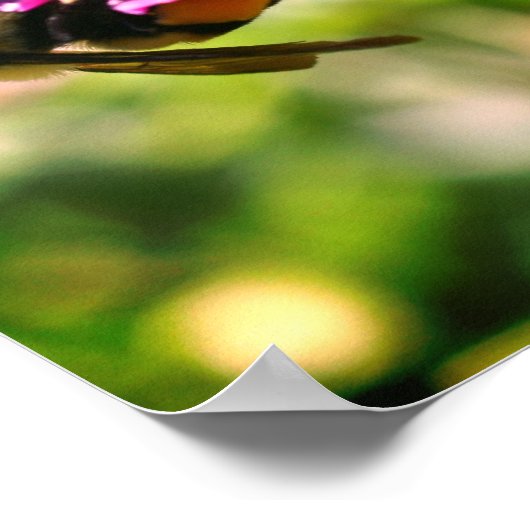 のまわりにオンピンクの花クローズアップ ポスター (角)