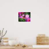 のまわりにオンピンクコスモス花閉まる ポスター (キッチン)