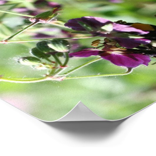 のまわりにオンピンクフラワー鏡抽象芸術 ポスター (角)