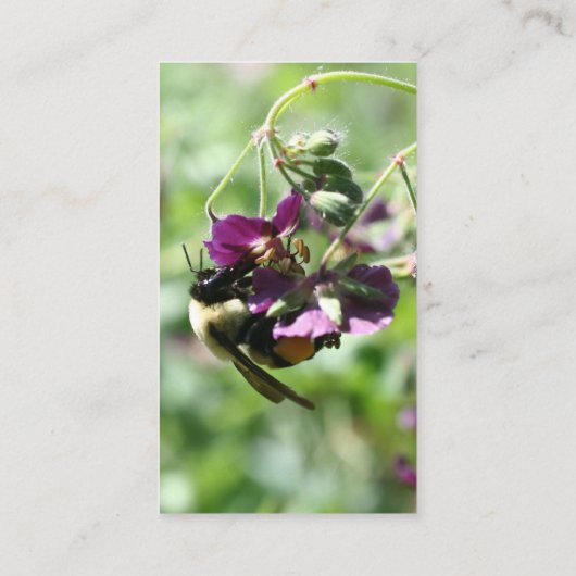 のまわりにオンフラワー自然名刺 名刺 (裏面)