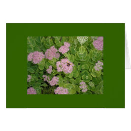 のまわりにカード