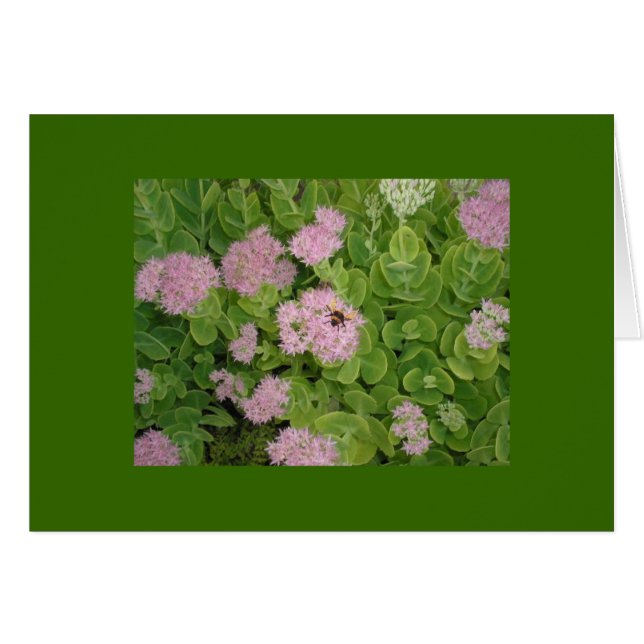 のまわりにカード (正面横)