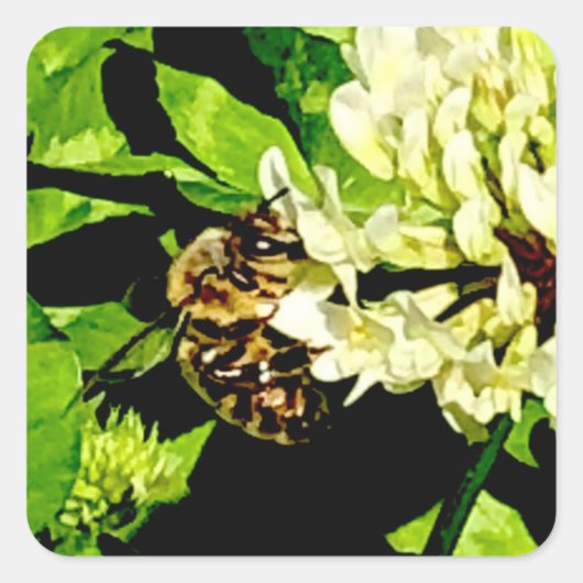 のまわりにシール スクエアシール (正面)