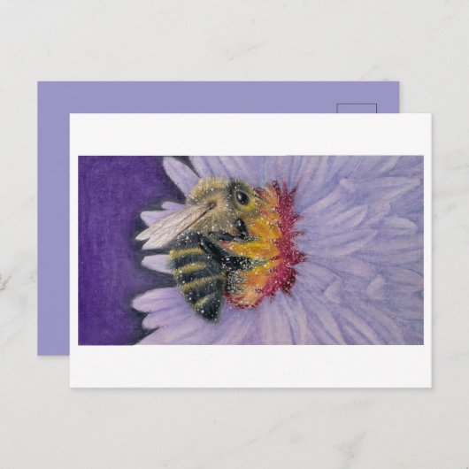 のまわりにスケッチプリント ポストカード (正面/裏面)