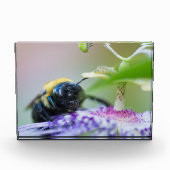 のまわりにマクロ写真 フォトブロック (正面)