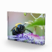 のまわりにマクロ写真 フォトブロック (右)