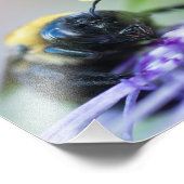 のまわりにマクロ写真 フォトプリント            (角)