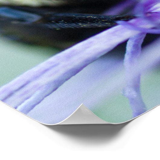 のまわりにマクロ写真 ポスター (角)