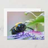 のまわりにマクロ写真 ポストカード (正面/裏面)