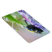 のまわりにマクロ写真 マグネット (右側)