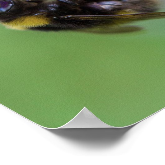 のまわりに写真 ポスター (角)