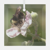 のまわりに捕集花粉ガラスオーナメント ガラスオーナメント (正面)