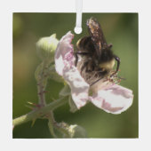 のまわりに捕集花粉ガラスオーナメント ガラスオーナメント (裏面)