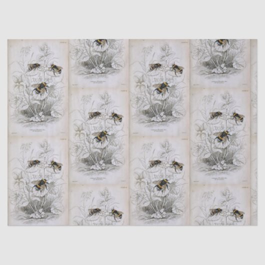 のまわりに植物ティッシュペーパー 薄葉紙 (正面)