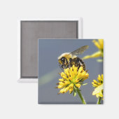 のまわりに磁石 マグネット (正面/裏面)