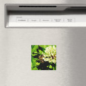 のまわりに磁石 マグネット (インサイチュ (食洗機))