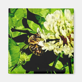 のまわりに磁石 マグネット