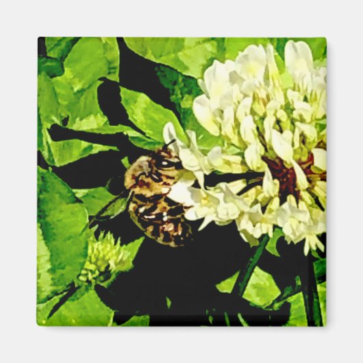 のまわりに磁石 マグネット (正面)