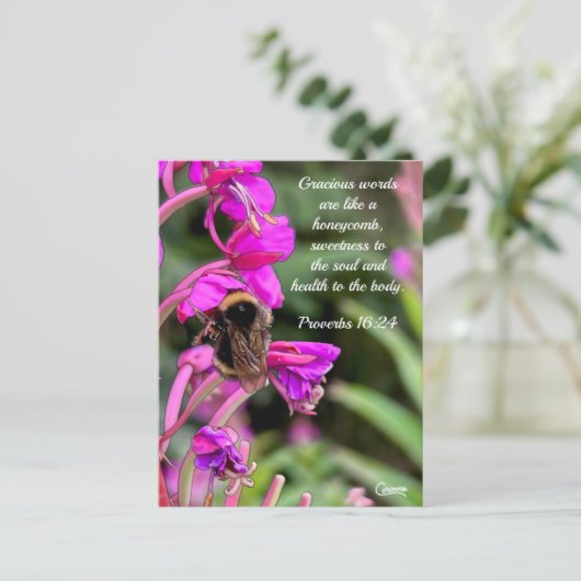 のまわりに聖書の詩 – はがき (スタンド正面)