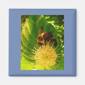 のまわりに蜜 マグネット (正面)