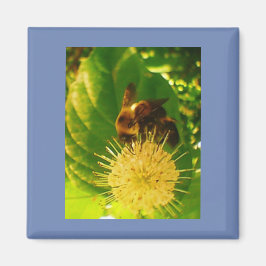 のまわりに蜜 マグネット