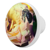 のまわりに飛んでいるがピンクローズに近づく セラミックノブ (右)