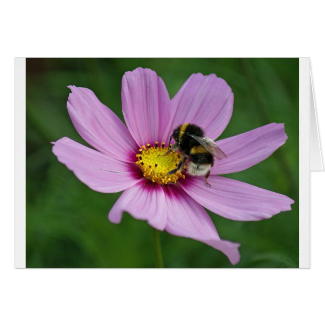 のまわりに (正面横)