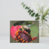 のまわりに195 toはがき ポストカード (スタンド正面)