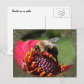 のまわりに195 toはがき ポストカード (正面/裏面)