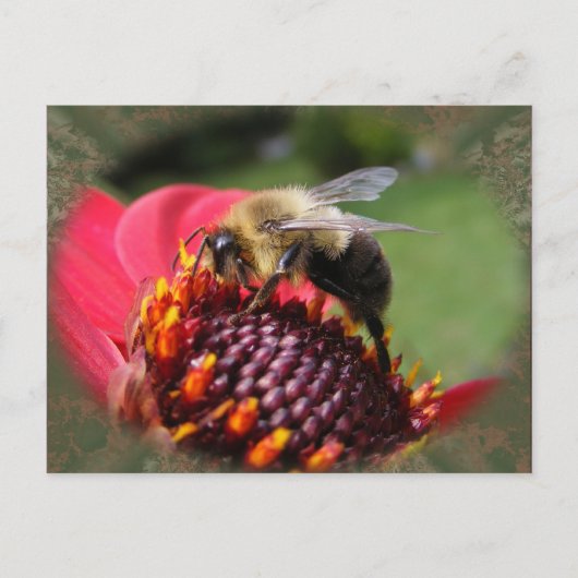 のまわりに195 toはがき ポストカード (正面)