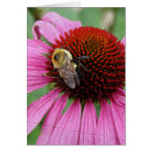 のまわりに2 (正面)