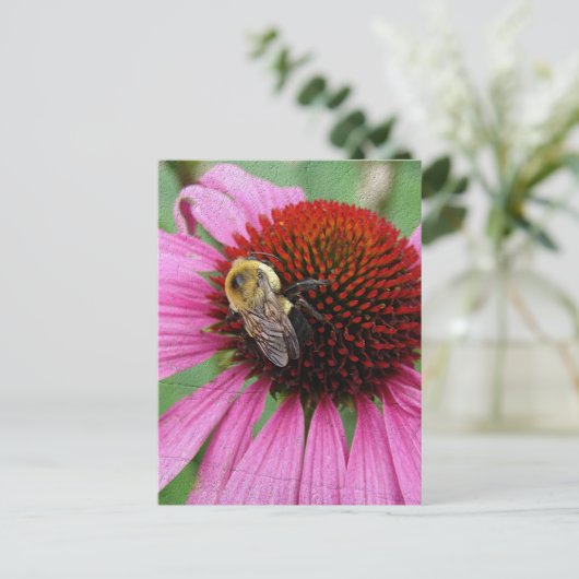 のまわりに2 ポストカード (スタンド正面)