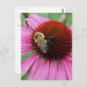 のまわりに2 ポストカード (正面/裏面)