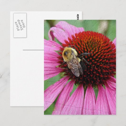 のまわりに2 ポストカード (正面/裏面)