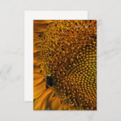 のまわりに&ひまわり ノートカード (正面/裏面)