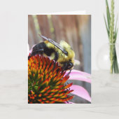 のまわりに カード (正面)