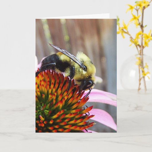 のまわりに カード (黄色い花)