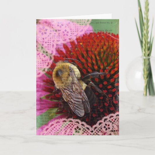 のまわりに カード (正面)