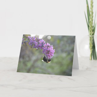 のまわりに カード