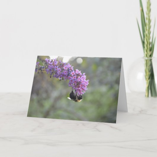 のまわりに カード (正面)