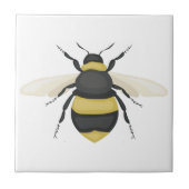 のまわりに タイル (正面)